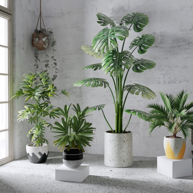 现代植物盆栽3D模型
